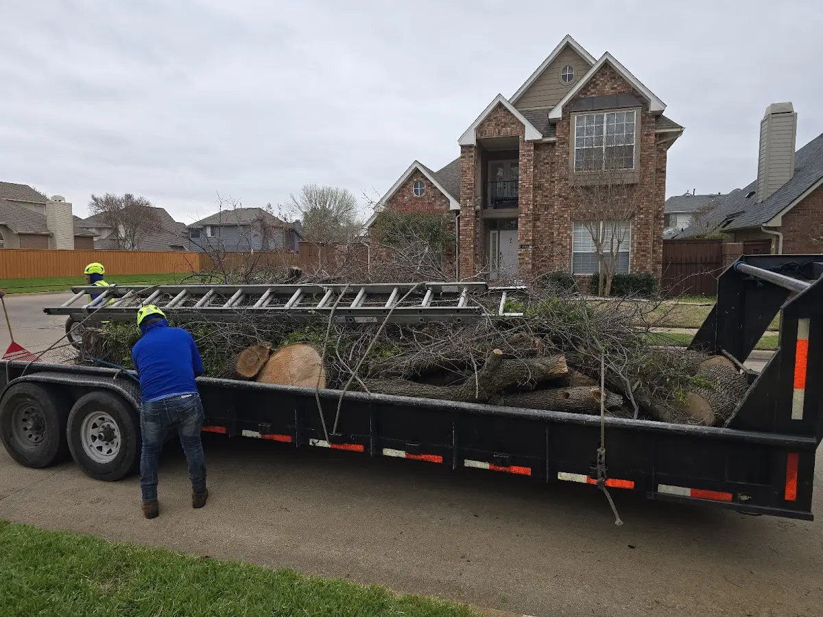 Expert Tree Fertilization with proper safety equipment in North Adams